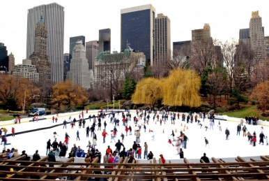 Skaters enjoying a bright, clear day at Wollman Rink in Central Park