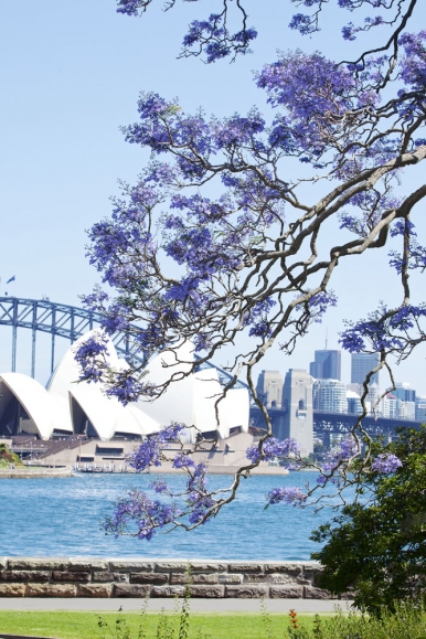 Royal Botanic Garden Sydney - Sydney Opera House Photo © Destination NSW
