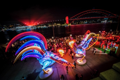 Rooster Lanterns, Photo © City of Sydney